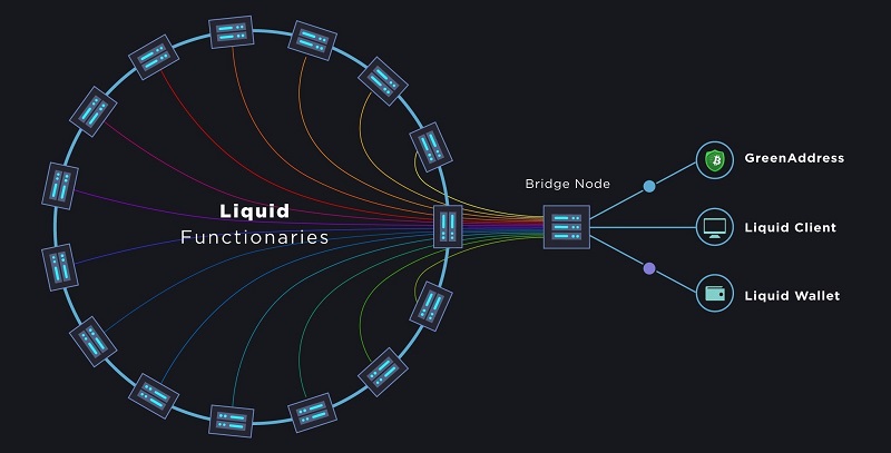 Liquid Network.jpg